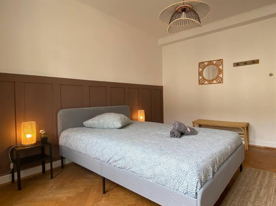 Charismatique Orangerie-10Min Parlement Eu-Wifi-Tv Apartment Strasbourg Ngoại thất bức ảnh