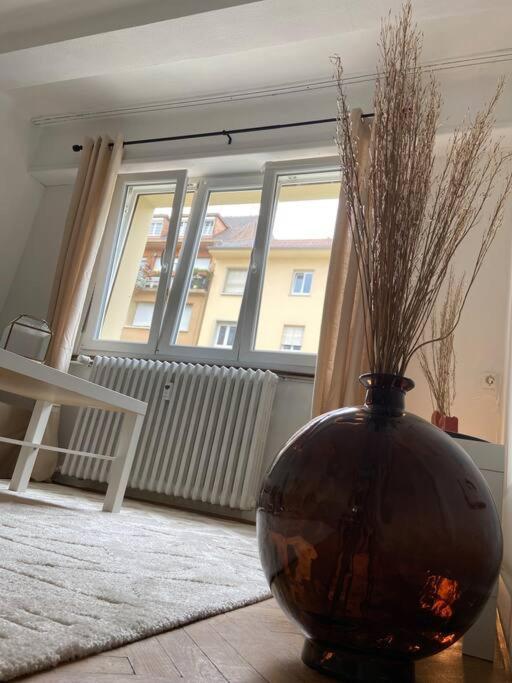Charismatique Orangerie-10Min Parlement Eu-Wifi-Tv Apartment Strasbourg Ngoại thất bức ảnh