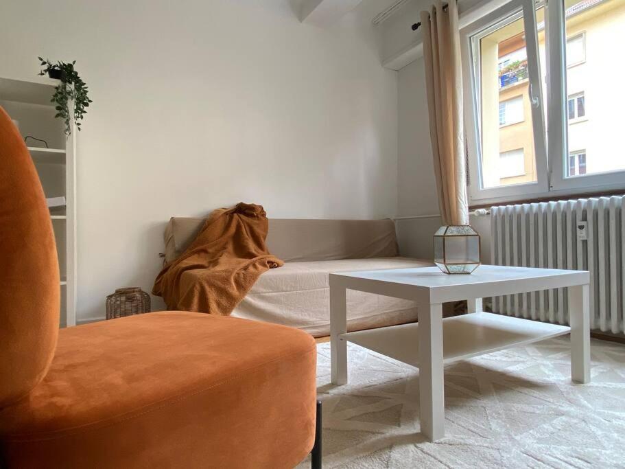 Charismatique Orangerie-10Min Parlement Eu-Wifi-Tv Apartment Strasbourg Ngoại thất bức ảnh